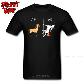 Забавная футболка, Потрясающие Мужские футболки, Футболка Me Unicorn You Horse, Хип-Хоп, Танцы На Шесте, Футболки Для Взрослых, Оптовые Уличные Топы, Тройники